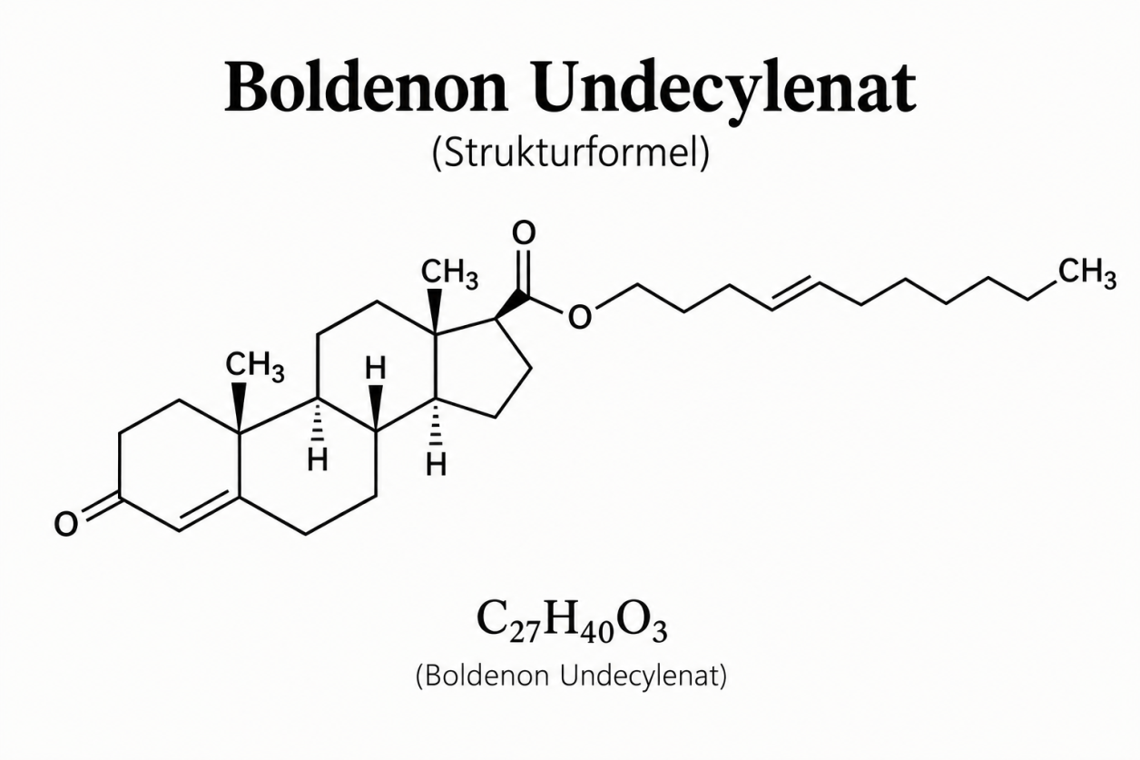 Boldenon im Bodybuilding – Informationen zu Wirkung, Risiken und Eigenschaften