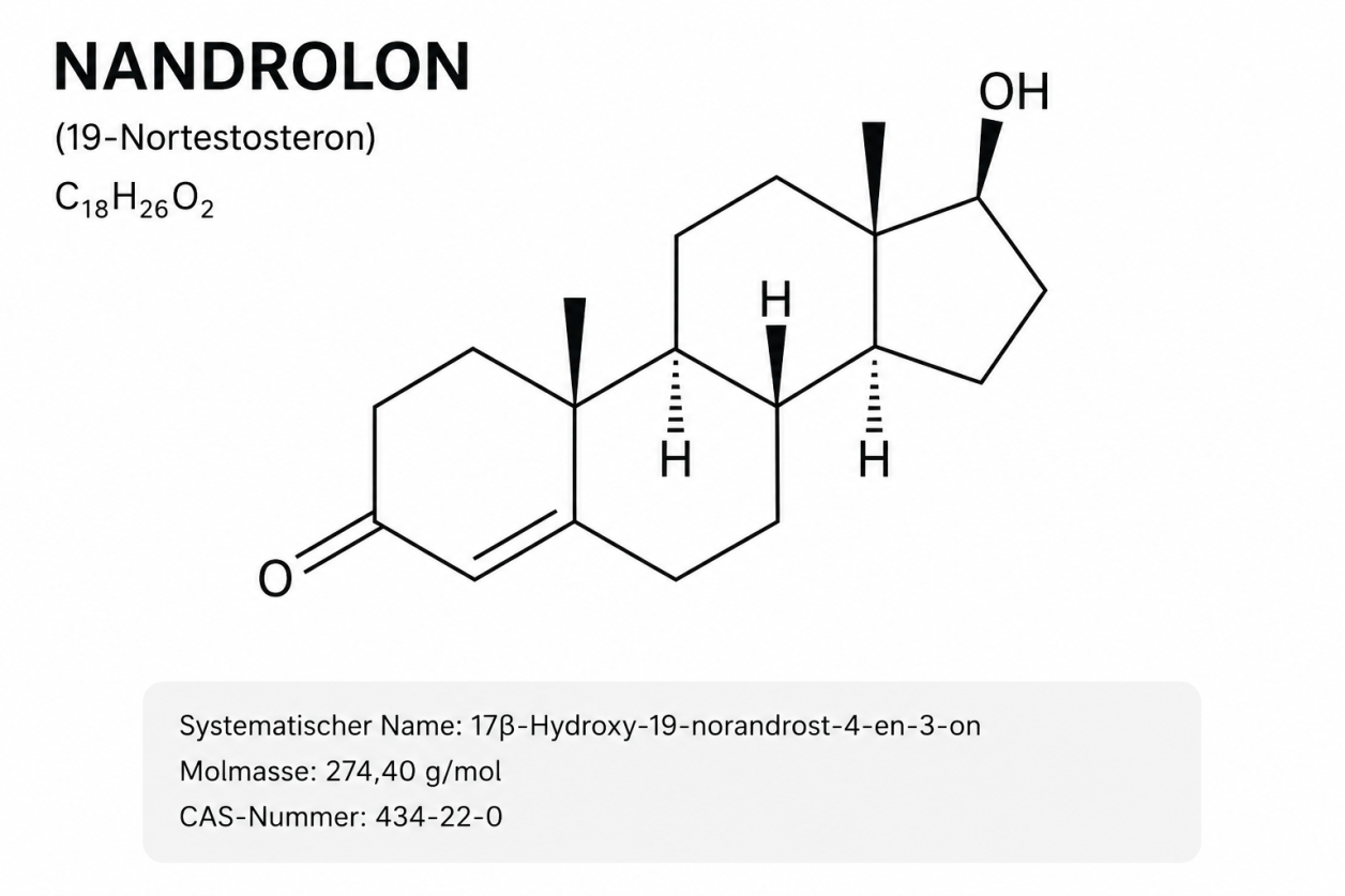 Strukturformel von Nandrolon (19-Nortestosteron) – Molekulare Konfiguration des anabolen Steroids Drachensang Academy
